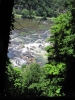PICTURES/New River Gorge National River - WV/t_Sandstone Falls1.jpg